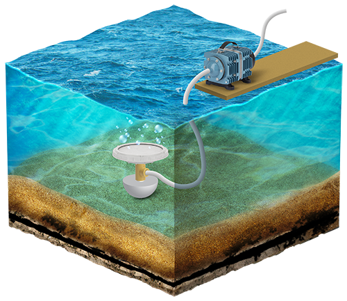 Ossigenatore Per Laghetto - Pompa Aria 1 Uscita Per Laghetti Fino A 1000 Litri, Con Pietra Porosa E Tubo, Verde - Foto 7