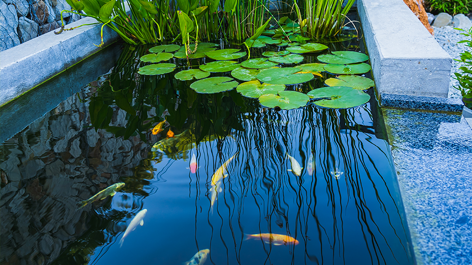 How do you oxygenate a pond? 